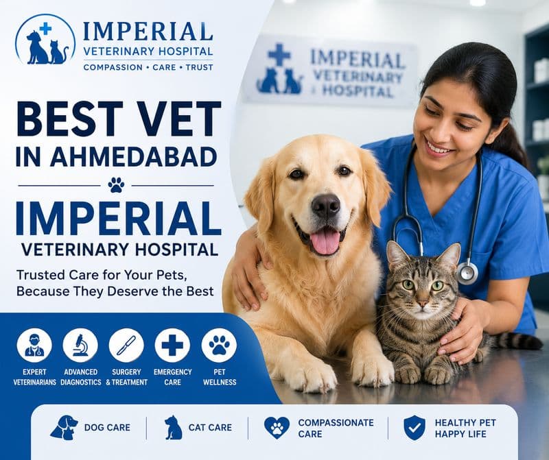 Imperial Veterinary Hospital | Best Pet Clinic in Satellite, Ahmedabad - Photo 4